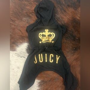 🐾Doggie Clothes Bundle 🐾